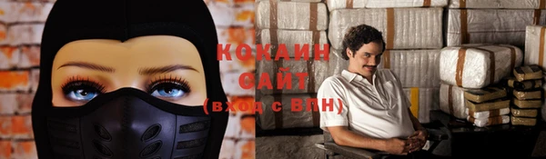 индика Горно-Алтайск