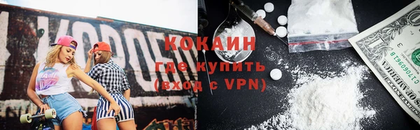 индика Горно-Алтайск